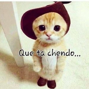 Meet your Posher, Yessenia